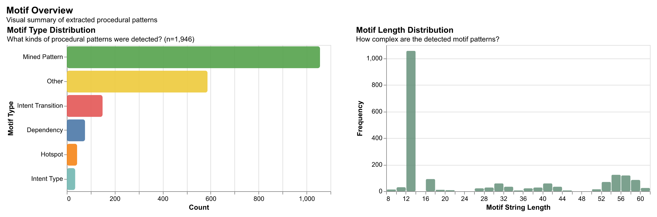 Motif pattern visualization